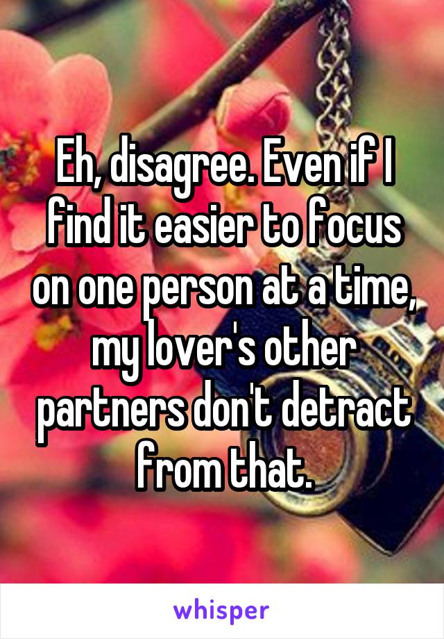 Eh, disagree. Even if I find it easier to focus on one person at a time, my lover's other partners don't detract from that.