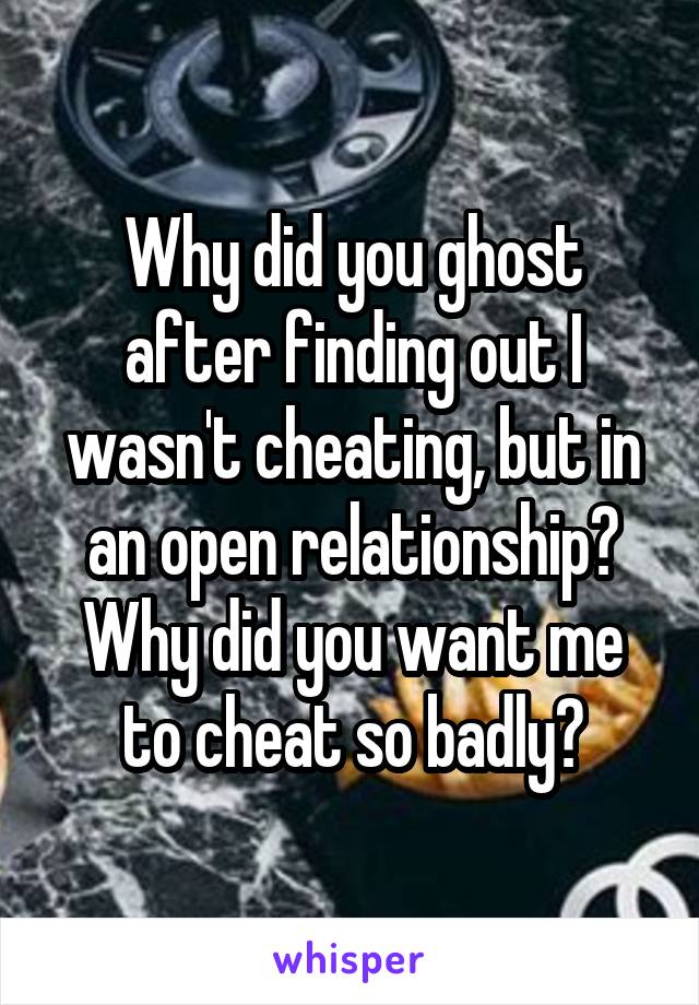 Why did you ghost after finding out I wasn't cheating, but in an open relationship? Why did you want me to cheat so badly?