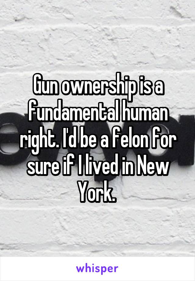 Gun ownership is a fundamental human right. I'd be a felon for sure if I lived in New York. 