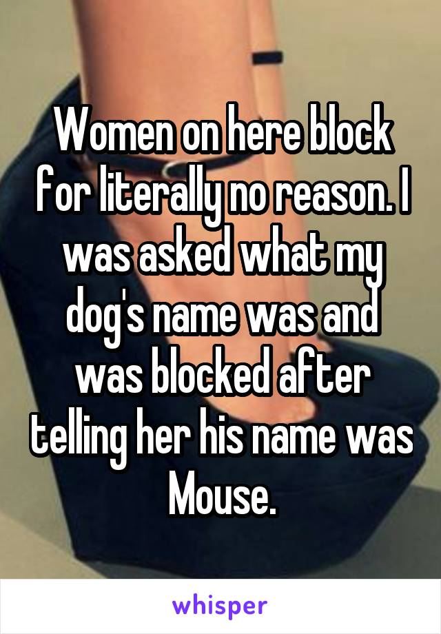 Women on here block for literally no reason. I was asked what my dog's name was and was blocked after telling her his name was Mouse.