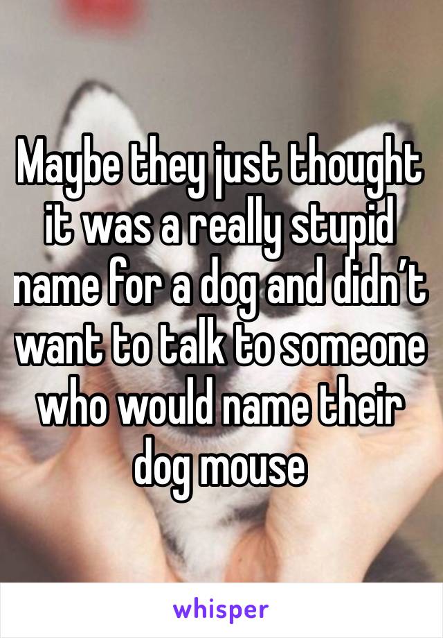 Maybe they just thought it was a really stupid name for a dog and didn’t want to talk to someone who would name their dog mouse