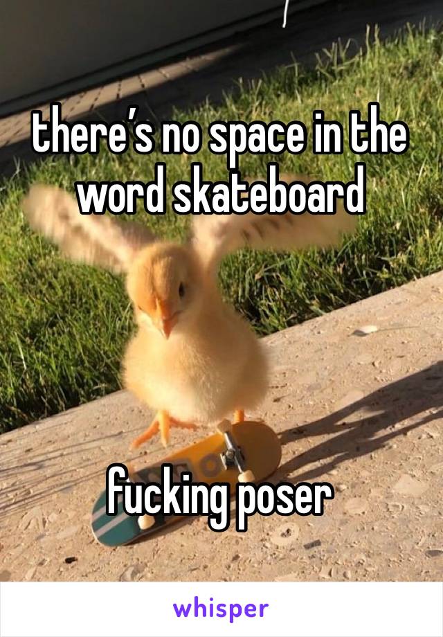 there’s no space in the word skateboard 




fucking poser