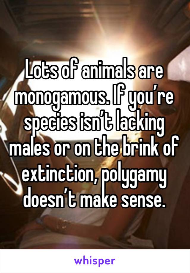 Lots of animals are monogamous. If you’re species isn’t lacking males or on the brink of extinction, polygamy doesn’t make sense.