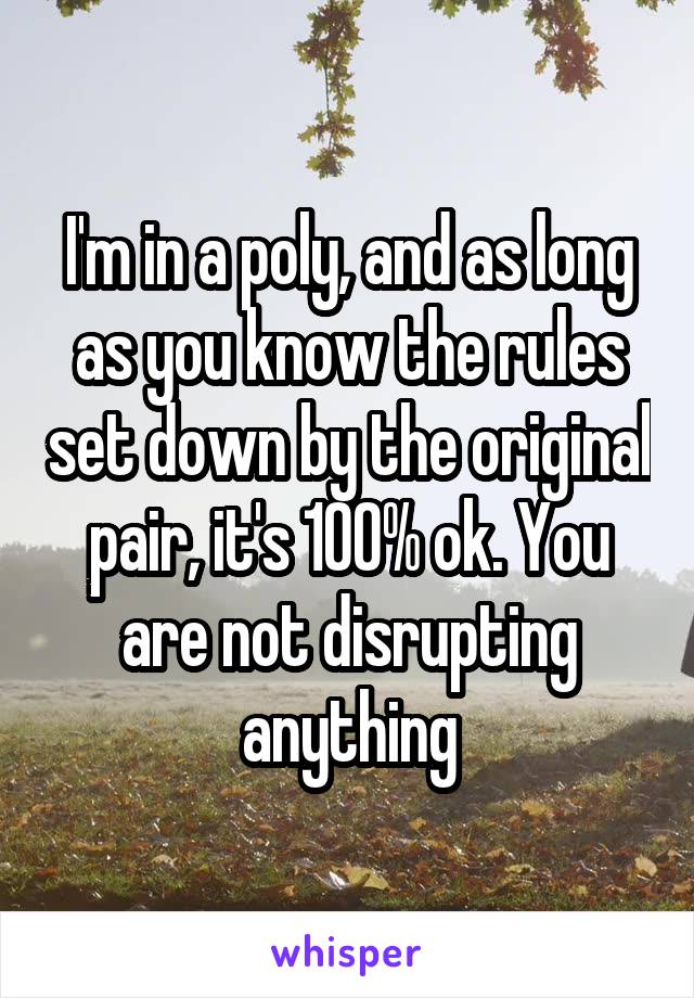 I'm in a poly, and as long as you know the rules set down by the original pair, it's 100% ok. You are not disrupting anything