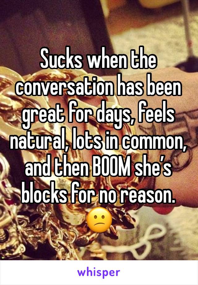 Sucks when the conversation has been great for days, feels natural, lots in common, and then BOOM she’s blocks for no reason. 😕