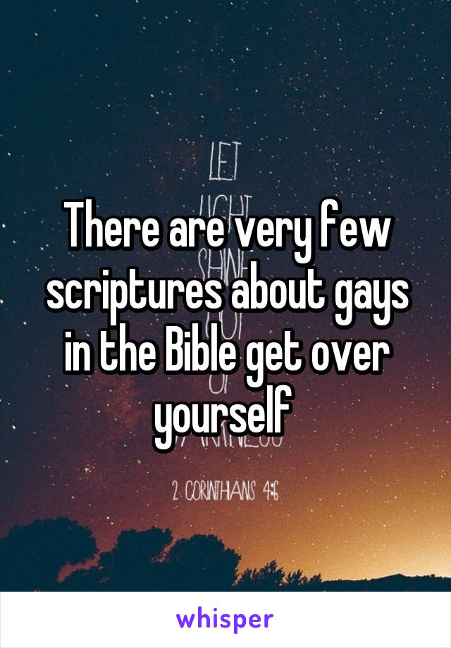 There are very few scriptures about gays in the Bible get over yourself 