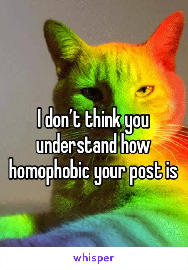 I don’t think you understand how homophobic your post is 