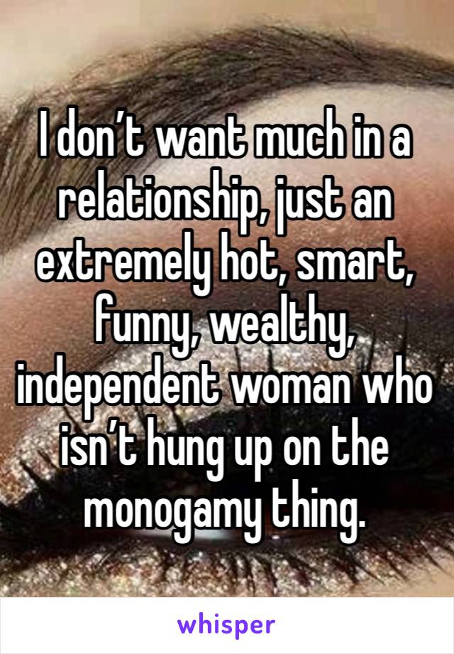 I don’t want much in a relationship, just an extremely hot, smart, funny, wealthy, independent woman who isn’t hung up on the monogamy thing.