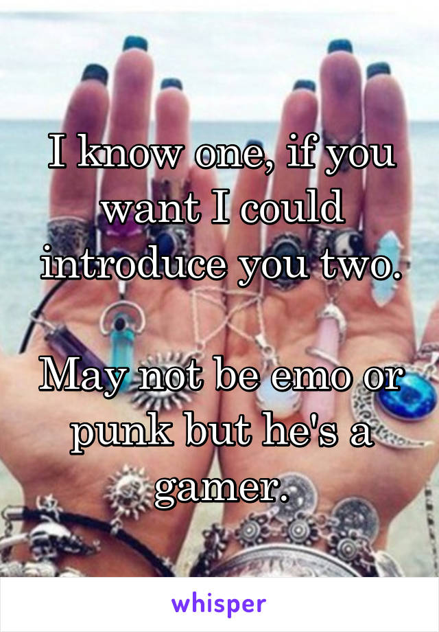 I know one, if you want I could introduce you two.

May not be emo or punk but he's a gamer.