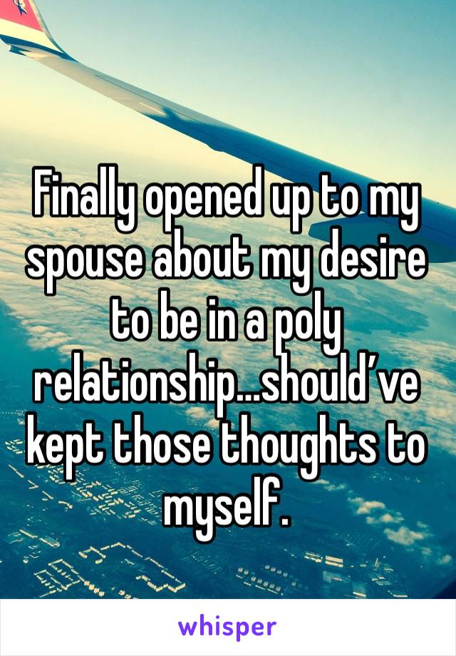 Finally opened up to my spouse about my desire to be in a poly relationship…should’ve kept those thoughts to myself.