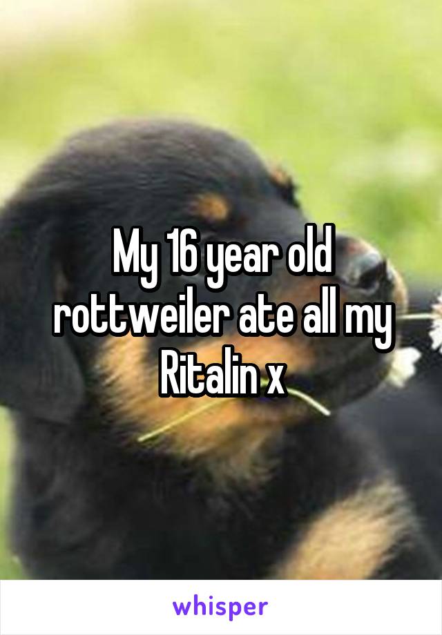 My 16 year old rottweiler ate all my Ritalin x