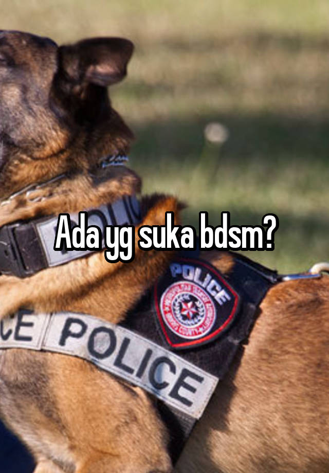 Ada yg suka bdsm?