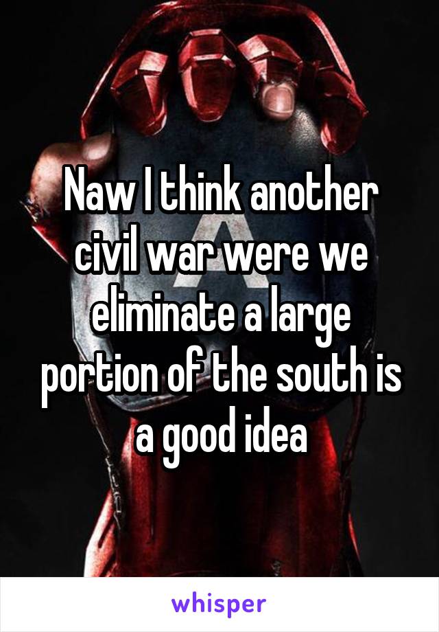 Naw I think another civil war were we eliminate a large portion of the south is a good idea