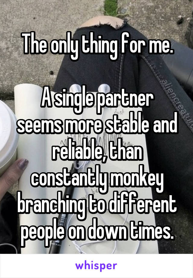 The only thing for me.

A single partner seems more stable and reliable, than constantly monkey branching to different people on down times.