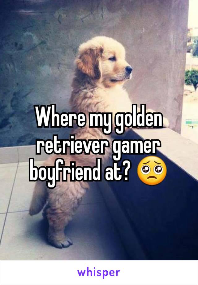 Where my golden retriever gamer boyfriend at? 🥺