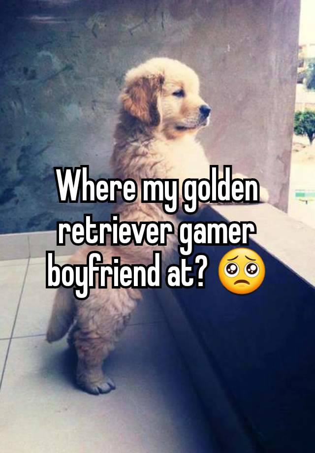 Where my golden retriever gamer boyfriend at? 🥺