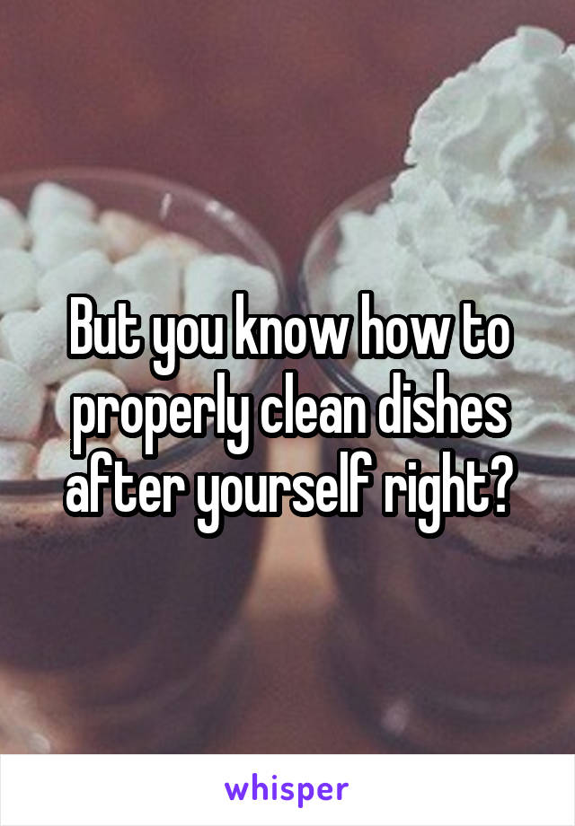 But you know how to properly clean dishes after yourself right?