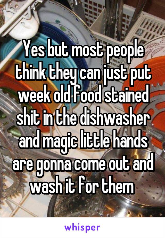 Yes but most people think they can just put week old food stained shit in the dishwasher and magic little hands are gonna come out and wash it for them 