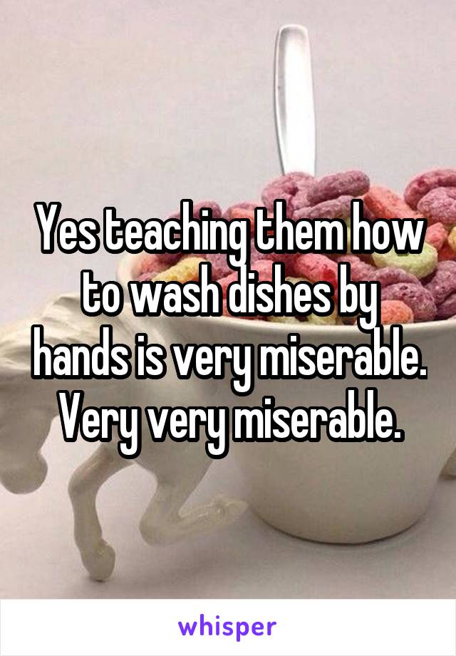 Yes teaching them how to wash dishes by hands is very miserable. Very very miserable.