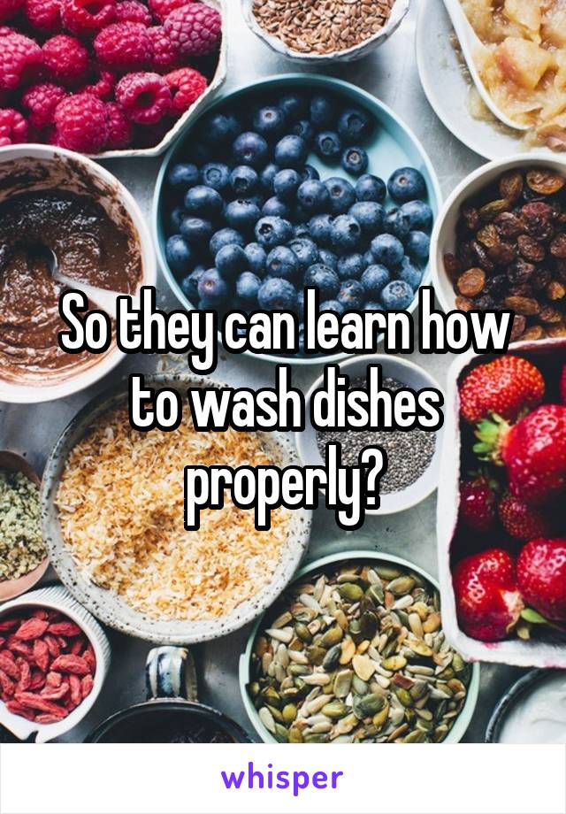 So they can learn how to wash dishes properly?