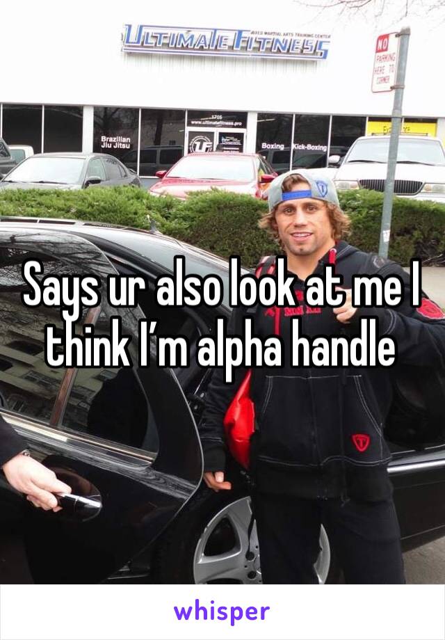 Says ur also look at me I think I’m alpha handle 