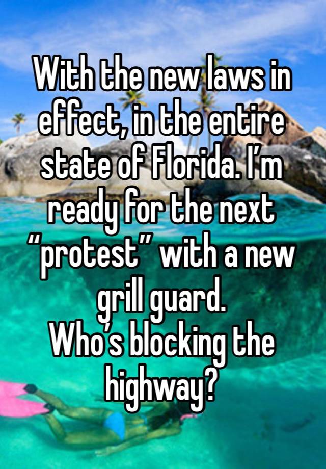 With the new laws in effect, in the entire state of Florida. I’m ready for the next “protest” with a new grill guard.
Who’s blocking the highway?