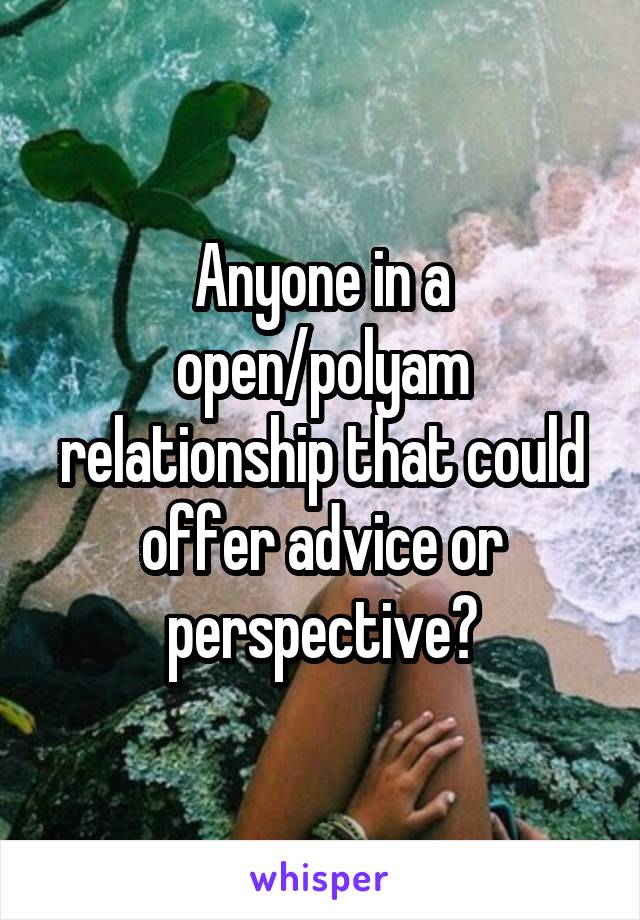 Anyone in a open/polyam relationship that could offer advice or perspective?