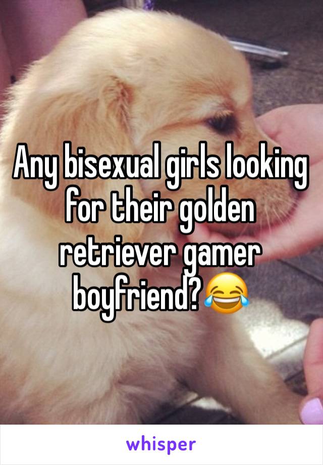 Any bisexual girls looking for their golden retriever gamer boyfriend?😂