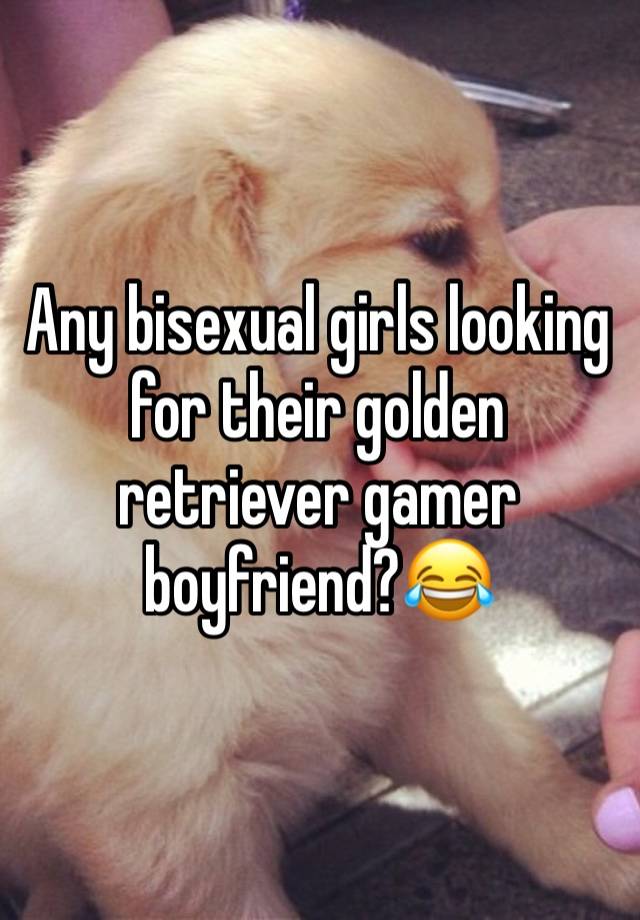 Any bisexual girls looking for their golden retriever gamer boyfriend?😂