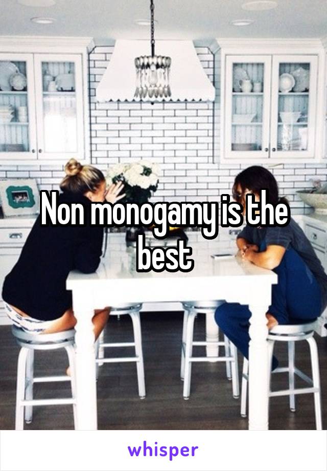 Non monogamy is the best