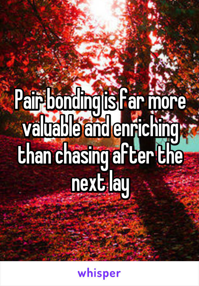 Pair bonding is far more valuable and enriching than chasing after the next lay