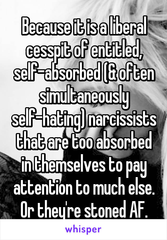 Because it is a liberal cesspit of entitled, self-absorbed (& often simultaneously self-hating) narcissists that are too absorbed in themselves to pay attention to much else. Or they're stoned AF.