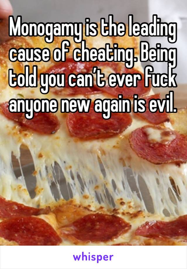 Monogamy is the leading cause of cheating. Being told you can’t ever fuck anyone new again is evil. 