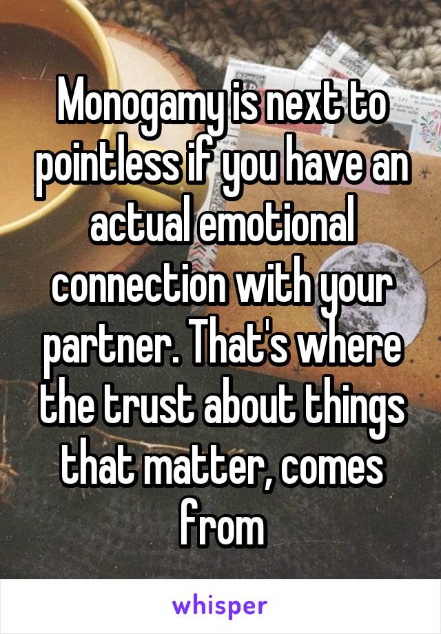 Monogamy is next to pointless if you have an actual emotional connection with your partner. That's where the trust about things that matter, comes from