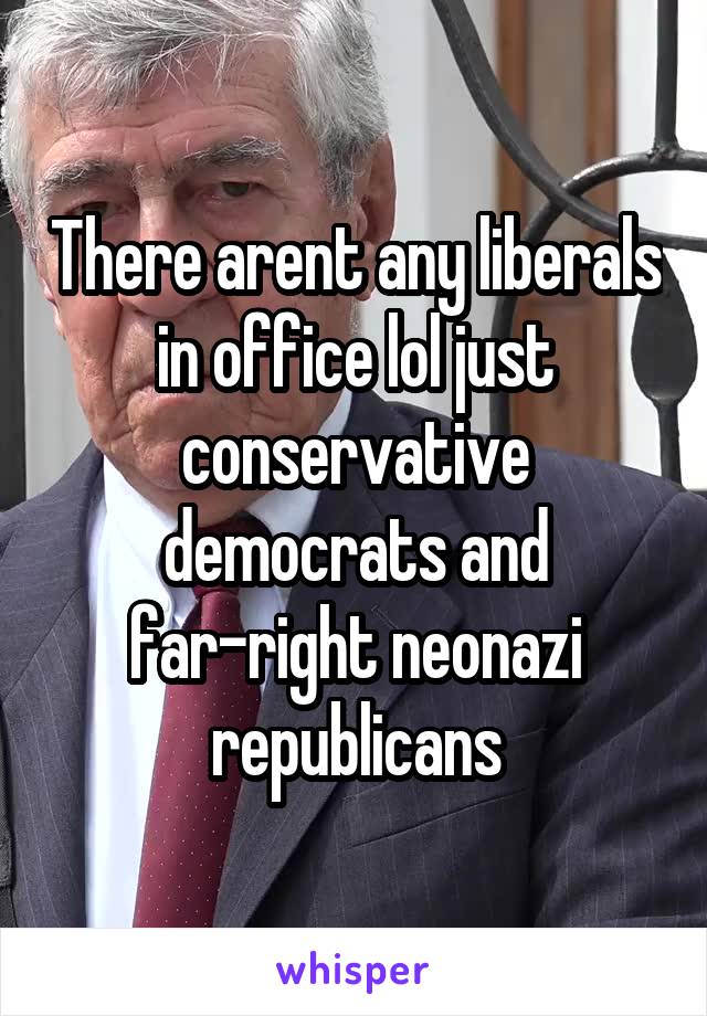 There arent any liberals in office lol just conservative democrats and far-right neonazi republicans