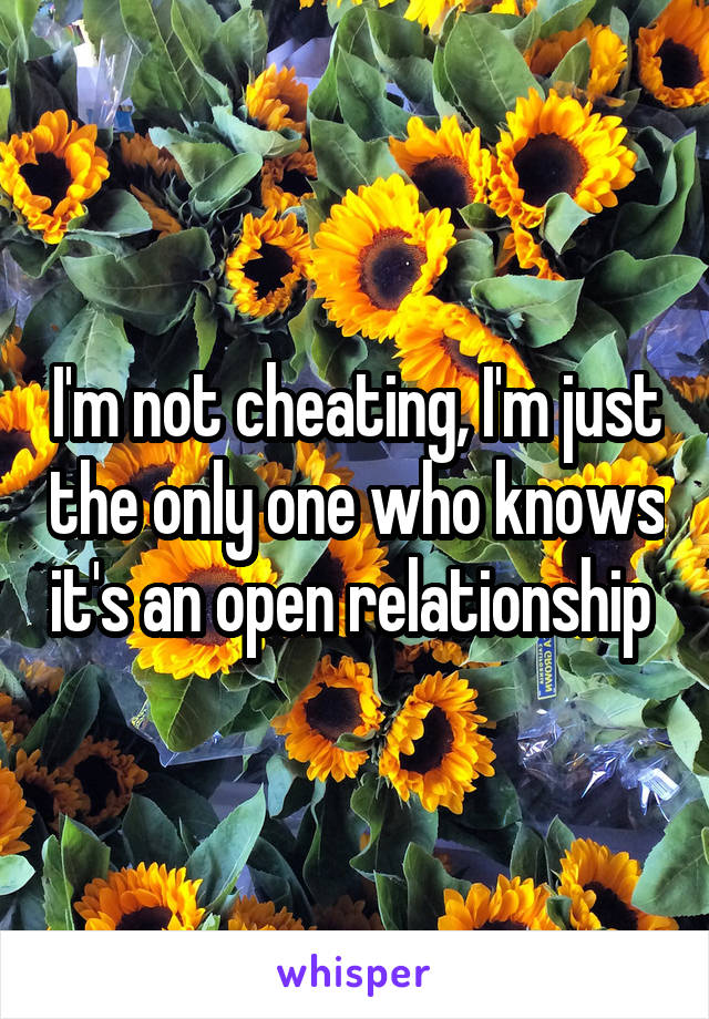 I'm not cheating, I'm just the only one who knows it's an open relationship 