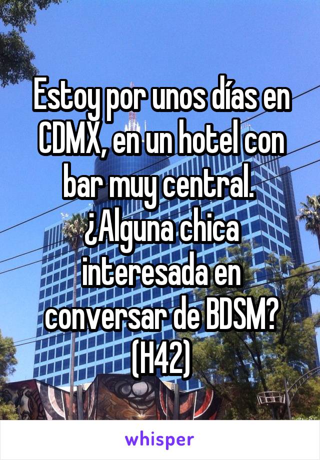 Estoy por unos días en CDMX, en un hotel con bar muy central.  ¿Alguna chica interesada en conversar de BDSM? (H42)