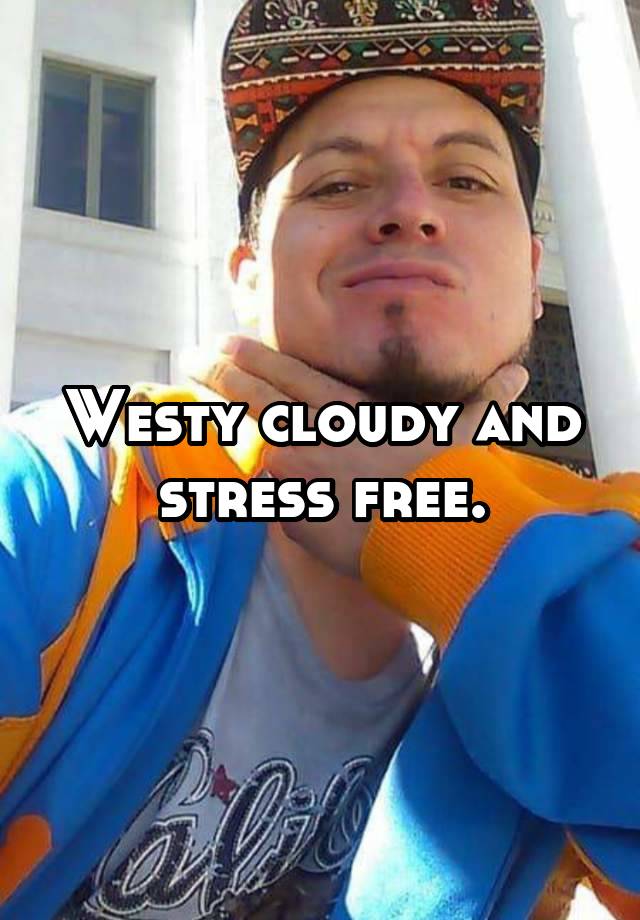 Westy cloudy and stress free.