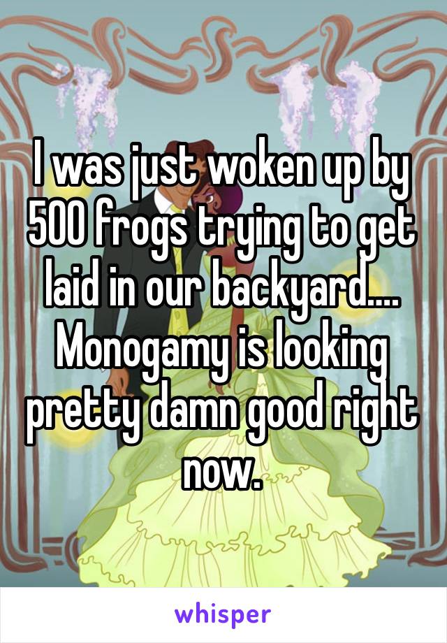 I was just woken up by 500 frogs trying to get laid in our backyard…. Monogamy is looking pretty damn good right now. 