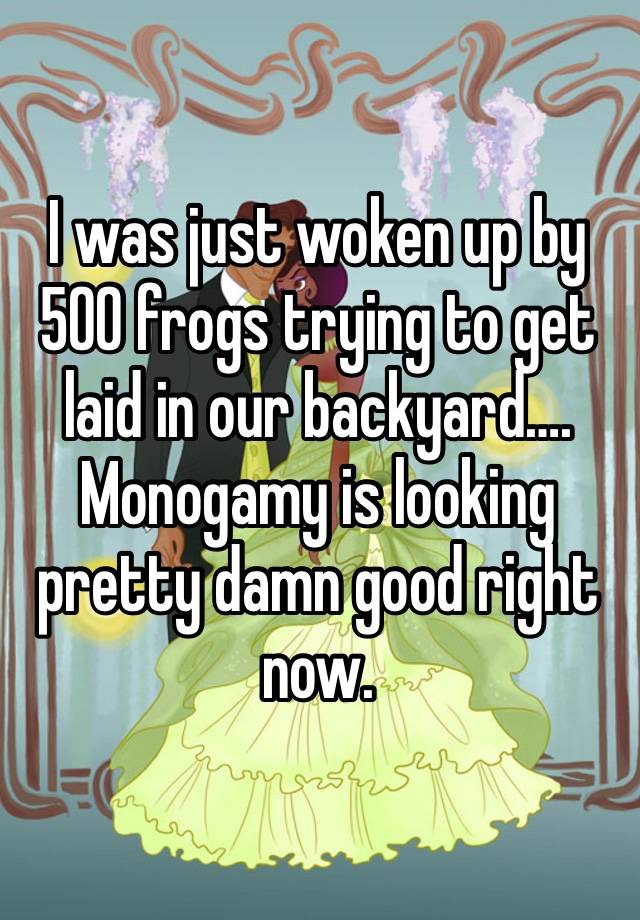 I was just woken up by 500 frogs trying to get laid in our backyard…. Monogamy is looking pretty damn good right now. 