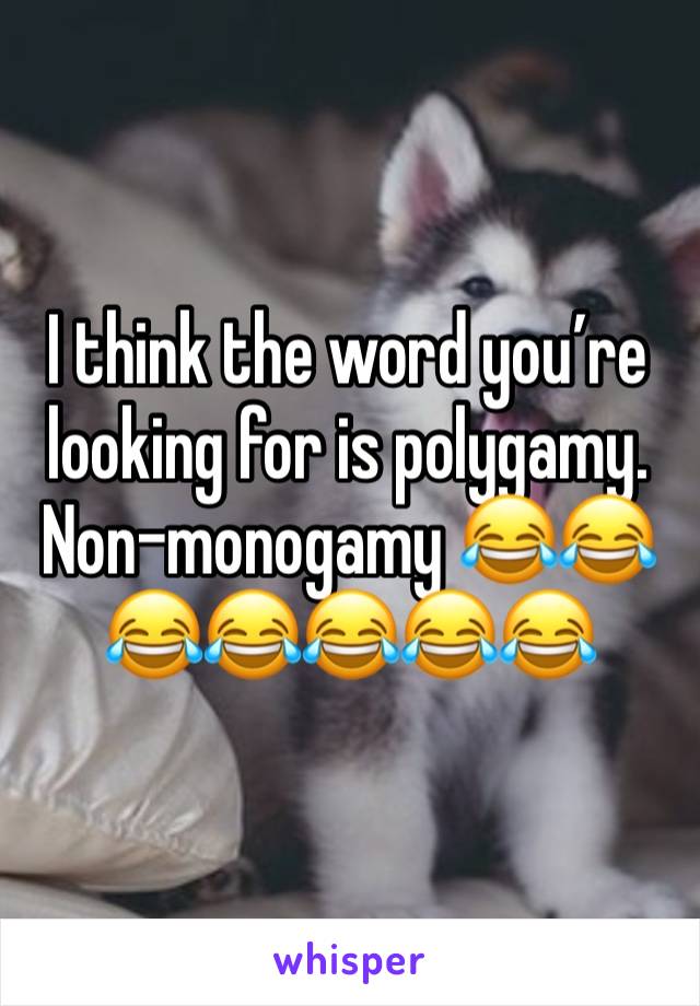 I think the word you’re looking for is polygamy. Non-monogamy 😂😂😂😂😂😂😂