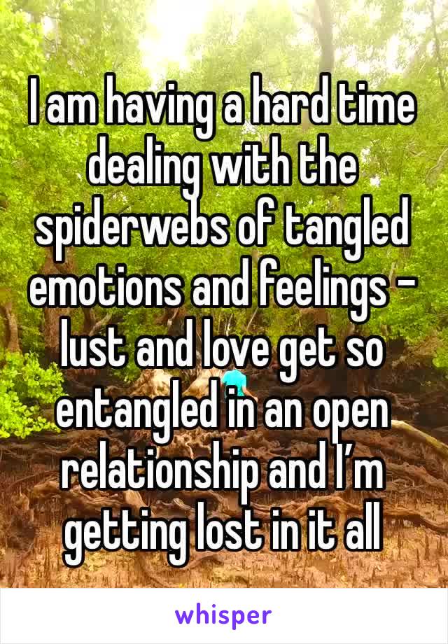 I am having a hard time dealing with the spiderwebs of tangled emotions and feelings - lust and love get so entangled in an open relationship and I’m getting lost in it all