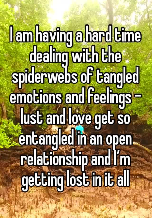 I am having a hard time dealing with the spiderwebs of tangled emotions and feelings - lust and love get so entangled in an open relationship and I’m getting lost in it all