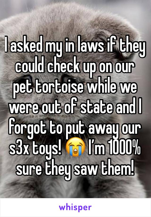 I asked my in laws if they could check up on our pet tortoise while we were out of state and I forgot to put away our s3x toys! 😭 I’m 1000% sure they saw them! 