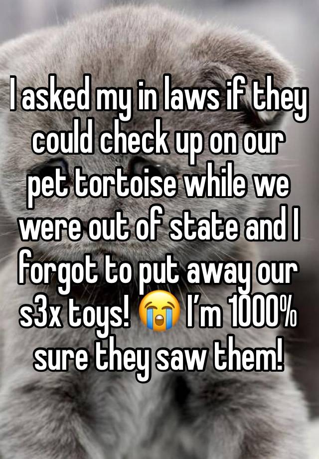 I asked my in laws if they could check up on our pet tortoise while we were out of state and I forgot to put away our s3x toys! 😭 I’m 1000% sure they saw them! 