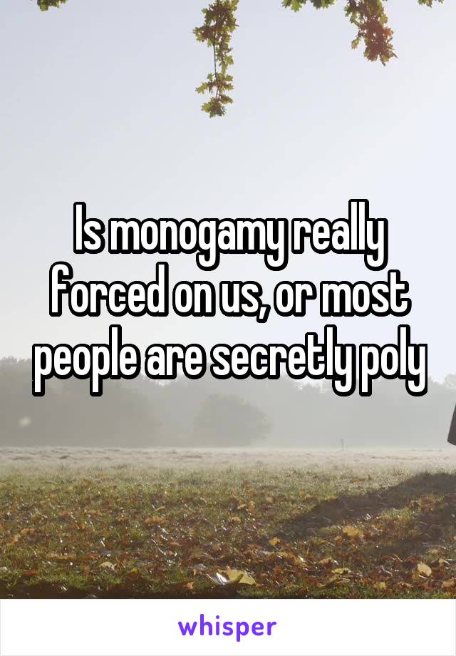 Is monogamy really forced on us, or most people are secretly poly 