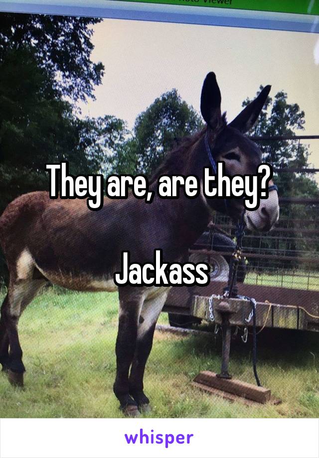 They are, are they? 

Jackass