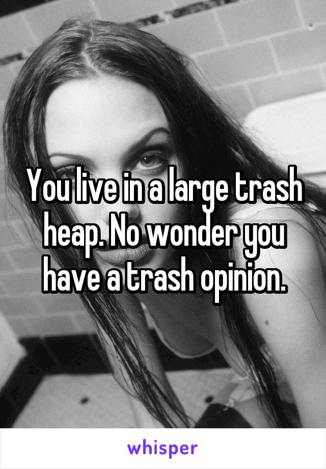 You live in a large trash heap. No wonder you have a trash opinion.