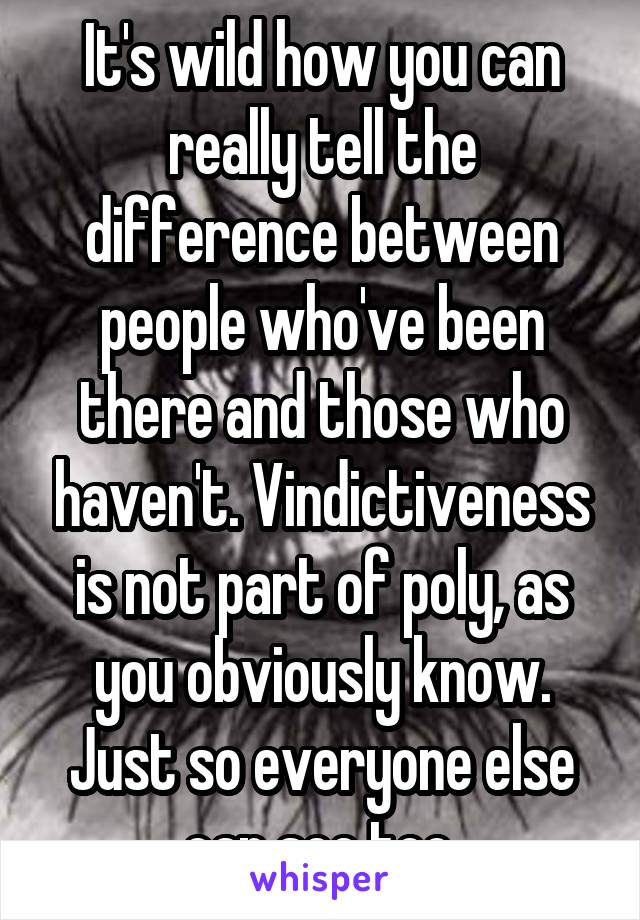 It's wild how you can really tell the difference between people who've been there and those who haven't. Vindictiveness is not part of poly, as you obviously know. Just so everyone else can see too.