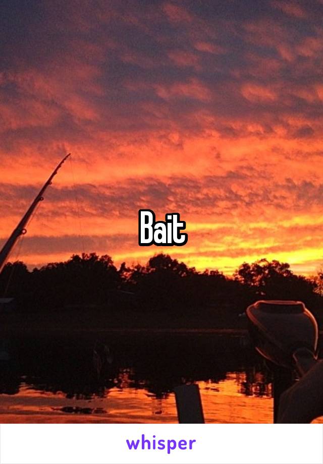 Bait